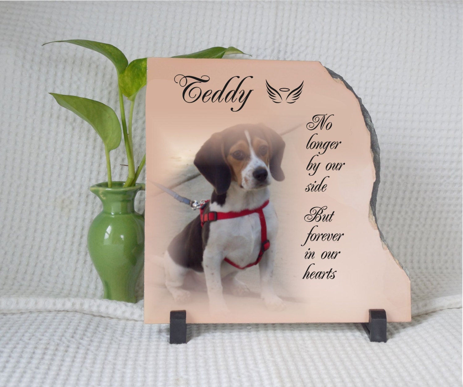 Pet loss gift pet memorial gift Dog loss Pet Sympathy Gift