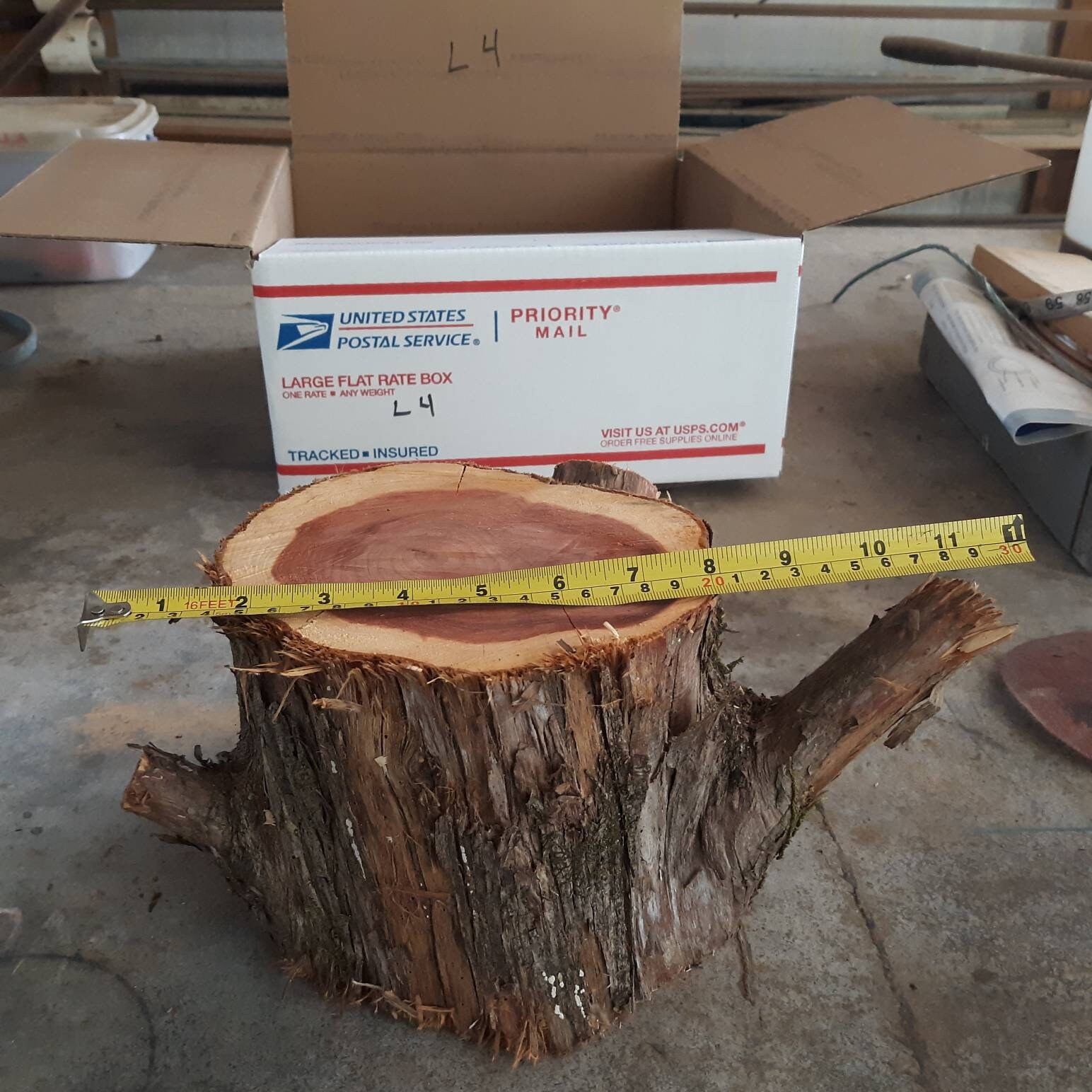 Registro de madera riser de madera de borde vivo conjunto de | Etsy