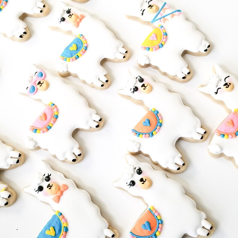1 dozen llama decorated