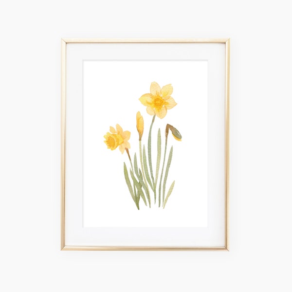 watercolor daffodils art print