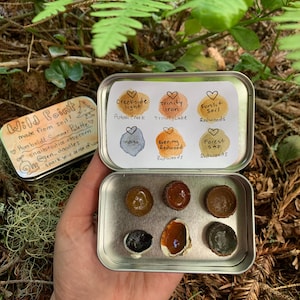 May include: A metal tin containing six small, round paint pans filled with earth-toned pigments. The lid features a colour chart with labels including Creekside Light, Trinity Iron, Sunlit Soil, Indigo, Evening Redwood, and Forest Sap, alongside text.