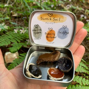 Watercolor travel palette set natural wildcrafted paints watercolors Humboldt county nature redwoods adventure  soil dirt foraging #B mini