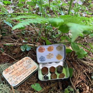 May include: A metal tin containing six small, round, earth-toned watercolour paint pans. The lid features hand-drawn text reading Wild Paint, made from soil, Humboldt Summer Palette, and social media handles, with a small snail and tree illustration.