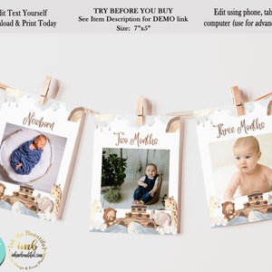 Noah's Ark Milestone Banner / 12 meses / Noah's Ark Theme / Baby Shower / Kids Birthday Party / Bautismo / Primer cumpleaños / Bíblico / NA22