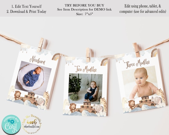 Noah's Ark Milestone Banner | 12 months | Noah's Ark Theme | Baby Shower | Kids Birthday Party | Baptism | First Birthday | Biblical | NA22 Il_570xn