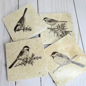 Bird coasters, bird lover gift ,drink coasters, nature gifts, gifts for her, nature lover, housewarming gift, stone coasters, for the home