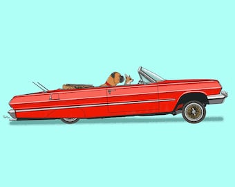Rusty the Boxer and Cheech the chihuahua bouncing in their lowrider Impala art print! Dogs Driving Things Series 5