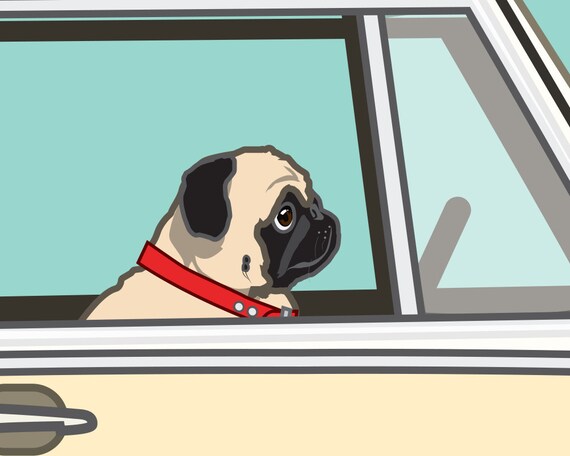 Otis the pug 2025