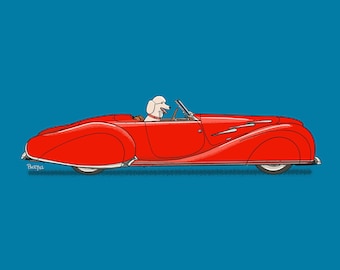 Princess the Poodle driving her vintage red roadster art print! Dogs Driving Things Series 5