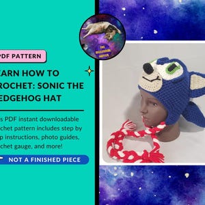 Pattern for Crochet Sonic the Hedgehog inspired Character Hat | PDF Download Only |