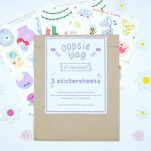 Oopsie Bag - Set of Multiple Stickersheet - Surprise Sticker sheet Bag of Imperfect Cute Stickers sheet
