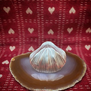 Può includere: Un oggetto di colore argento, dettagliato e a forma di conchiglia, si trova su una fetta di agata marrone e bianca. La fetta di agata ha un bordo ruvido e naturale.