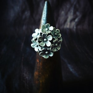 Può includere: Un anello d'argento con un gruppo di disegni a forma di fiore. L'anello è esposto su un supporto in legno su uno sfondo scuro.