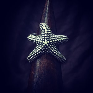 Può includere: Un anello a forma di stella marina argentata con superficie strutturata, esposto su un supporto in legno. Il design dell'anello presenta piccoli punti in rilievo, creando un motivo dettagliato. Lo sfondo è una sfumatura scura e sfocata.