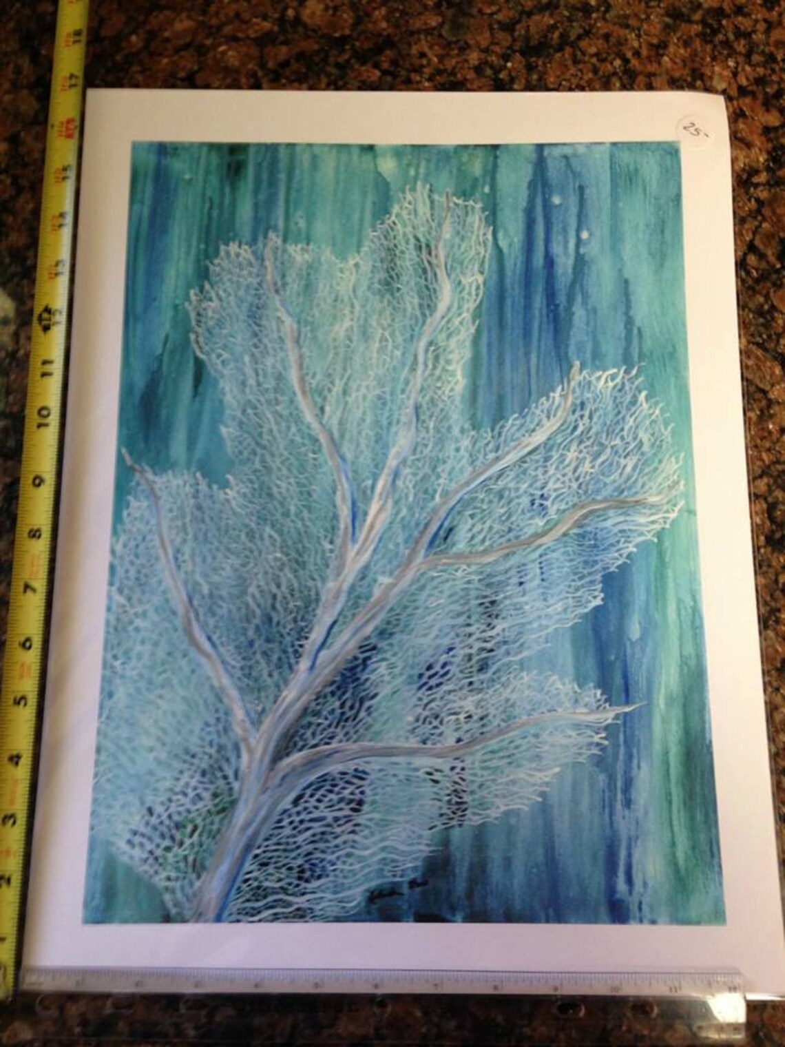 Sea fan print approximately 13 X17 Etsy