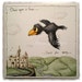 Mel's Crow  image no 46 image 1