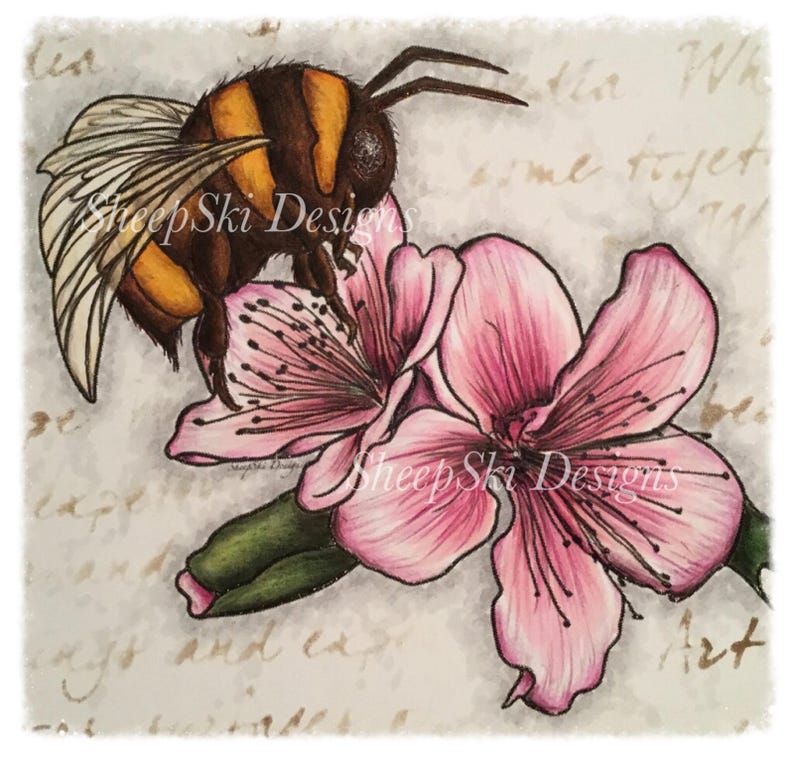 Bumble Bee Blossom  image no 90 image 0