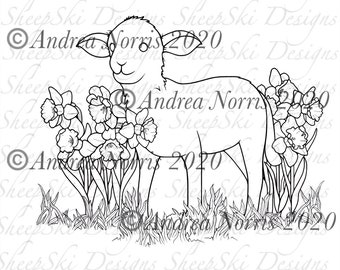 Spring Lamb - image no 213