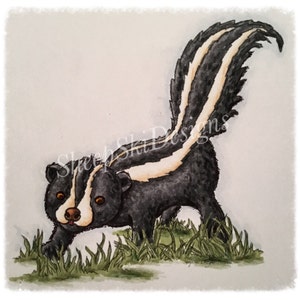 Lil Skunk image no 71 image 1