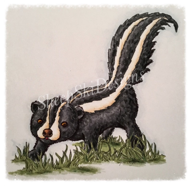 Lil Skunk image no 71 image 1