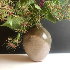 Puede incluir: Un jarrón de cerámica marrón y blanco con un esmalte moteado, lleno de un ramo de delicadas flores verde claro con centros rosados.