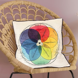 Colourful vintage style printed velvet cushion cover with contrast piping
