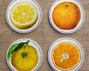 Vintage produce coaster set of 4 (citrus)