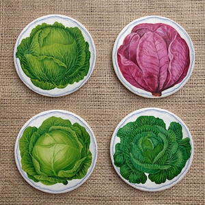 May include: Four round ceramic coasters with cabbage illustrations. The coasters feature detailed images of green and purple cabbages, each set against a white background with a blue border. The coasters are arranged on a textured, tan surface.