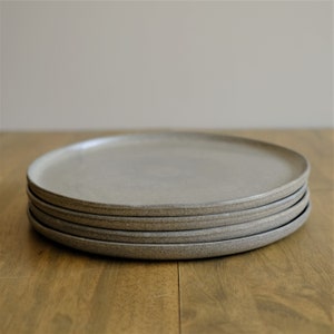 Speckled Plates, Modern Dinnerware Stone - 4 plates
