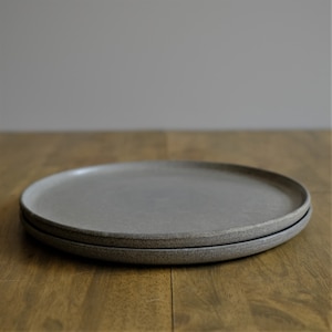 Speckled Plates, Modern Dinnerware Stone - 2 plates