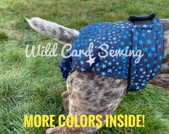 UEETEK Pet Dog Sanitary Shorts Panties Female Dog Washable Underwear Diapers Menstruation Briefs Size M 2PCS