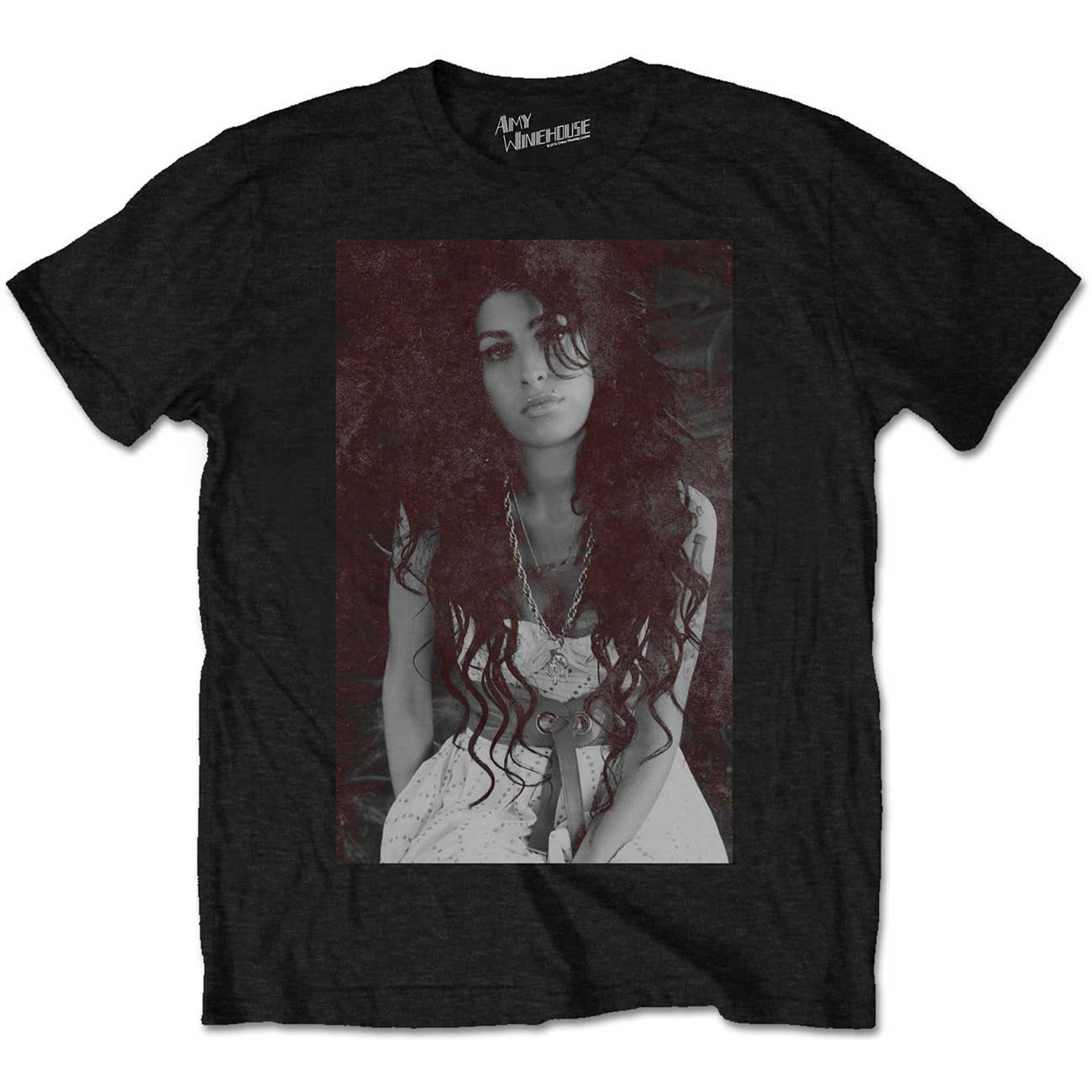 Image of Amy Winehouse Back To Black Frank Pose 2 Official Tee T-Shirt Mens Unisex
