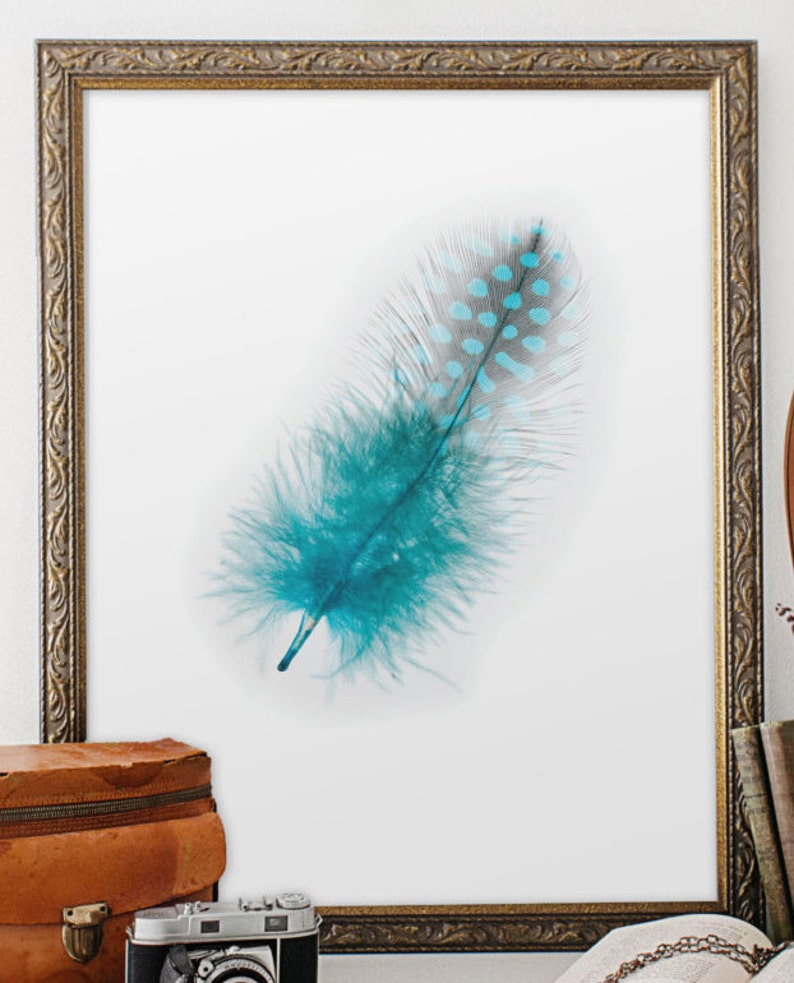 Feather, Feather Poster, Feather Print, Feather Art, Feather Wall Art, Blue Feather, Blue Print Art, Blue Prints, Boho Prints, Art, BD-061 image 3