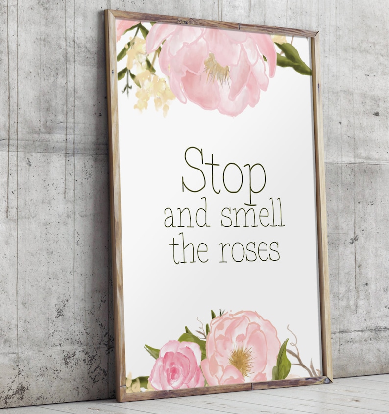 Collection 105+ Images inspirational quote stop and smell the roses quote Sharp