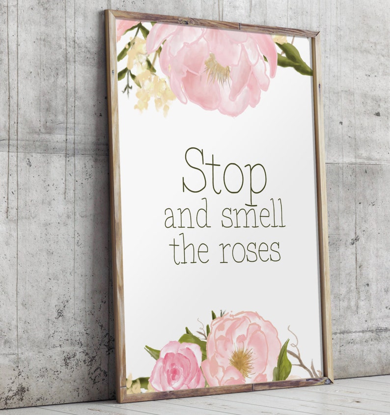 All 30+ Pictures stop and smell the roses similar quotes Sharp All 30+ Pictures stop and smell the roses similar quotes Sharp