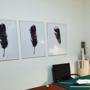 May include: Three framed prints of black and white, red and white, and brown and white feathers on a white wall.