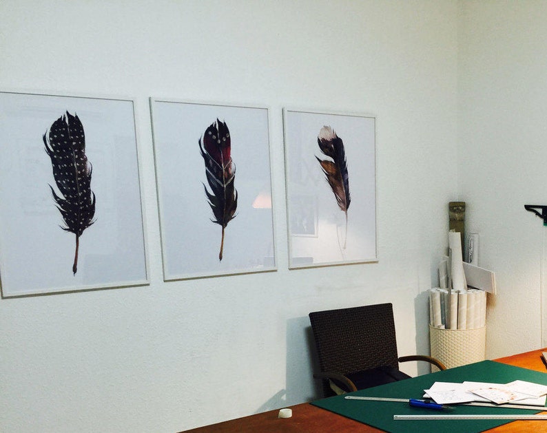 May include: Three framed prints of black and white, red and white, and brown and white feathers on a white wall.