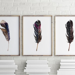 May include: Three framed watercolor paintings of feathers. The feathers are in shades of brown, black, purple, and white. The feathers are arranged in a vertical orientation.