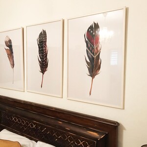 May include: Three framed prints of watercolor paintings of feathers. The feathers are different colors and patterns. The frames are white and the background is a white wall.