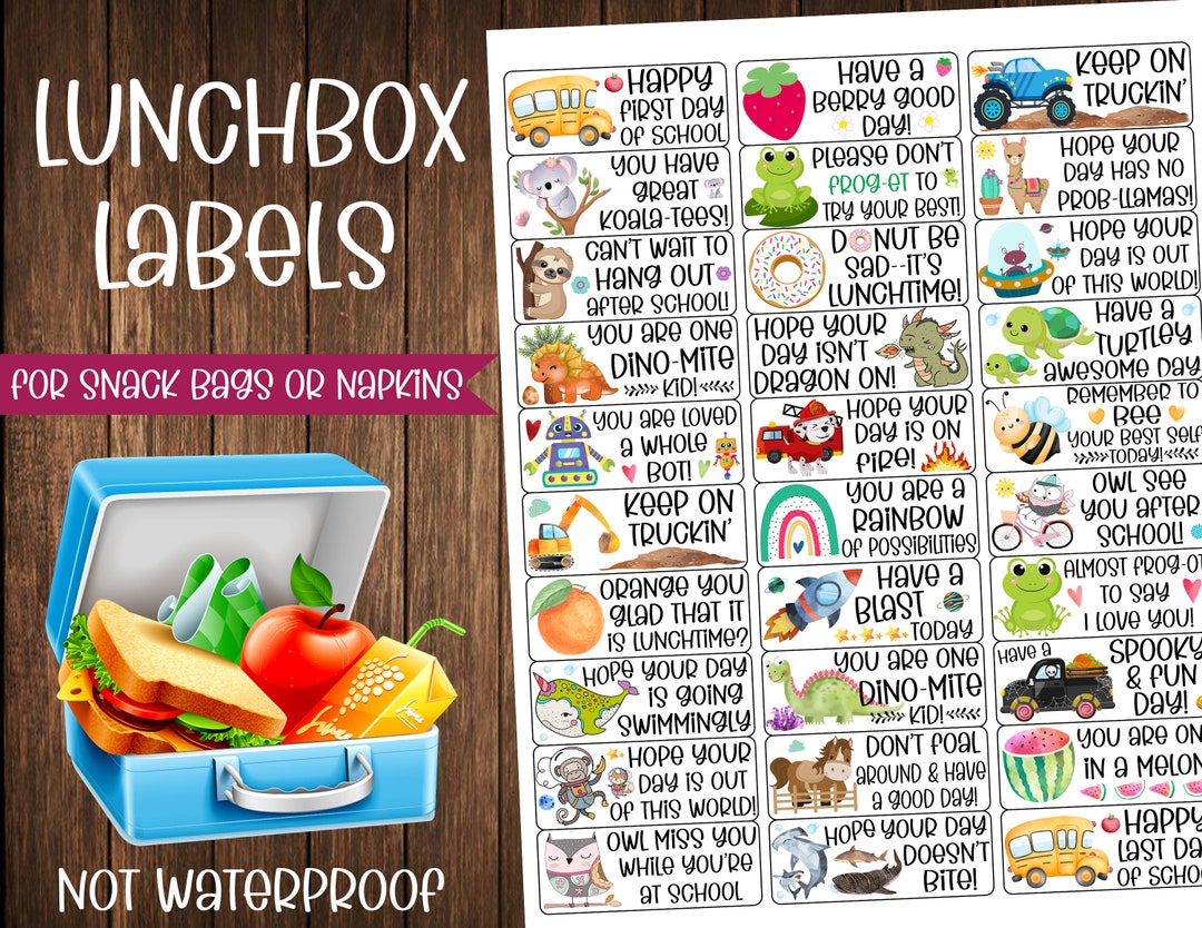 Lunchbox Labels Lunch Stickers one Sheet of 30 Labels Etsy