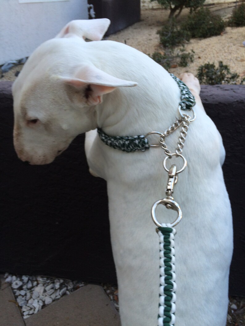 King Cobra Paracord Martingale Dog Collar aka Limited Slip Etsy
