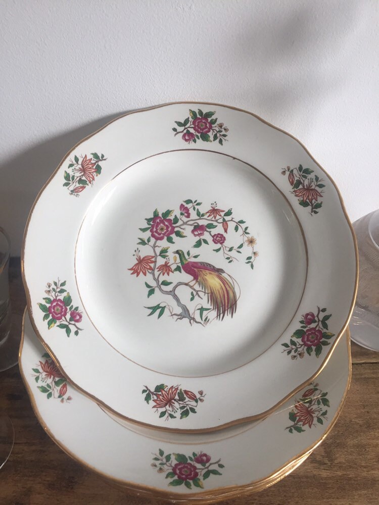 Service à Dessert 6 Assiettes Porcelaine Gressey - Décor Faisan