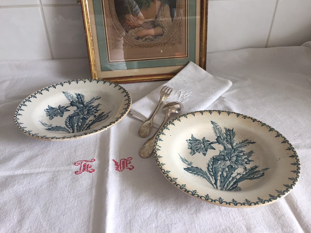 2 Assiettes Terre de Fer 1800 Creil et Montereau Modèle Cactus