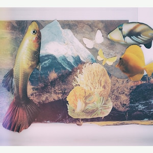 Seelandschaft, Fisch, A5, Postkarte, von Kim Hunnersen
