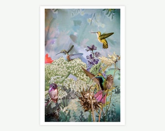 Hummingbirds, Flowers, A3 print by Kim Hunnersen