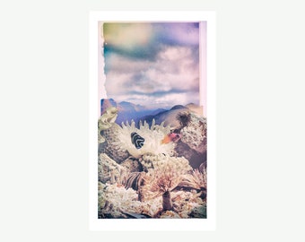 Seascape, fish, 12.1 x 21 cm, postcard, by Kim Hunnersen
