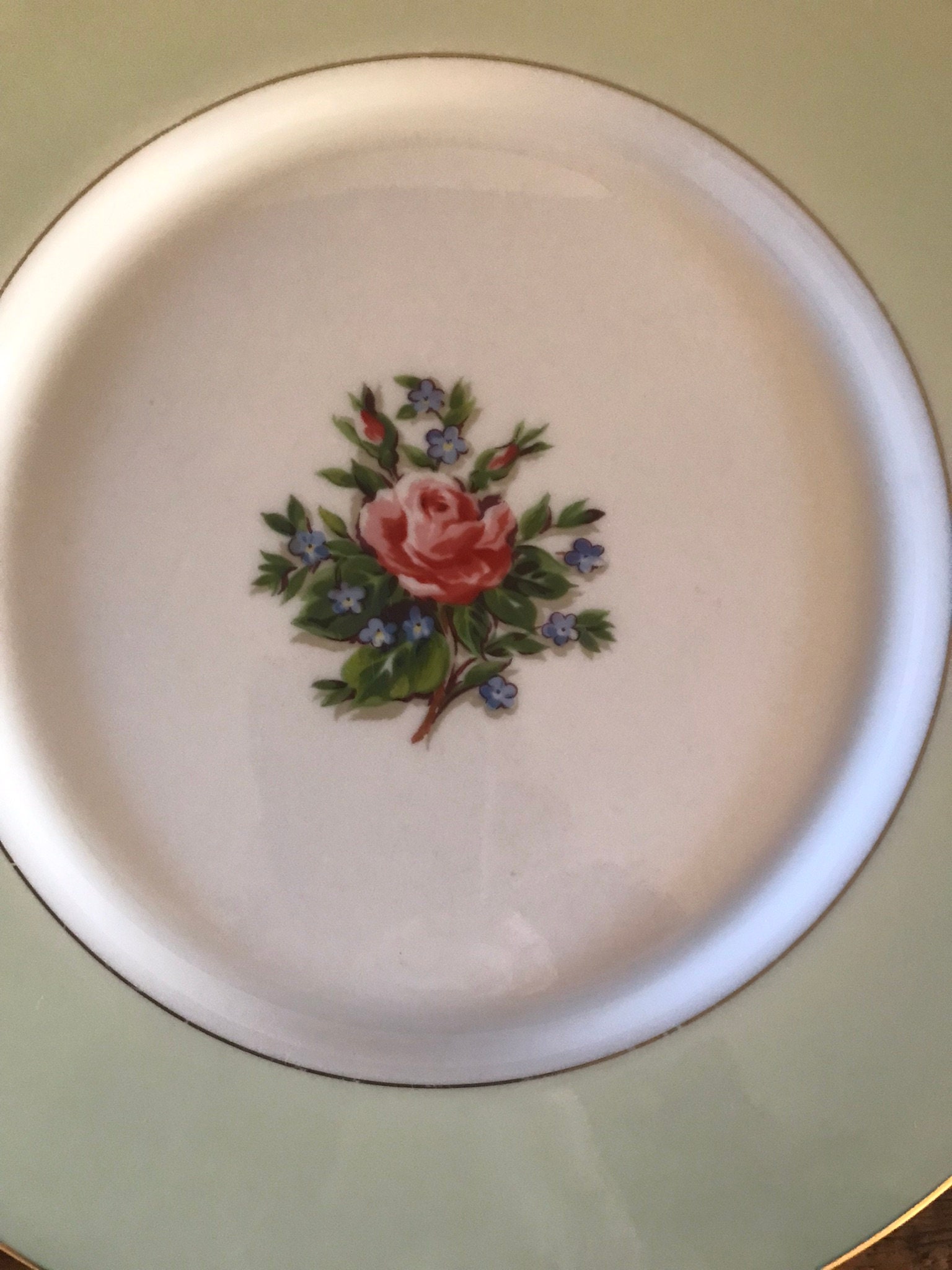 Fine Arts China Romance Rose Dinner Plate Set of 5 Vintage China