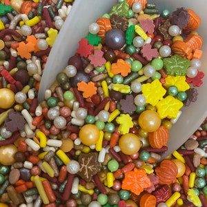 May include: A variety of colorful sprinkles in fall colors, including orange, yellow, red, brown, and green. The sprinkles are in the shape of leaves, pumpkins, and stars. There are also small round sprinkles and long, thin sprinkles.