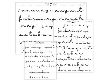 Monthly Script stickers | Matte Removable | Monthly Planner stickers // #MS-08