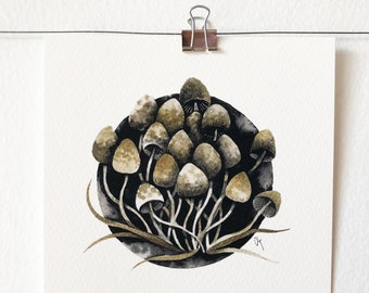 PSILOCYBE SEMILANCEATA - art print, nature print, mushroom illustration, wall art, ink painting, mycology lover gift, gift idea